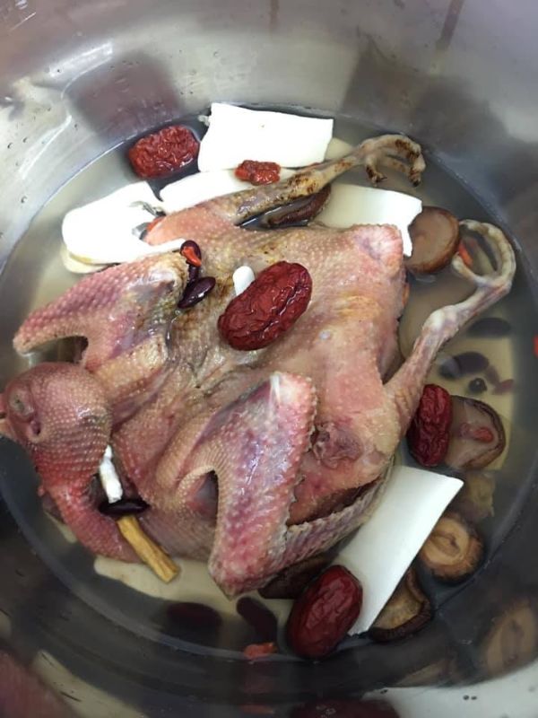 chim cau ham 1 - Cách làm Chim câu hầm hạt sen thập cẩm thơm ngon siêu dinh dưỡng