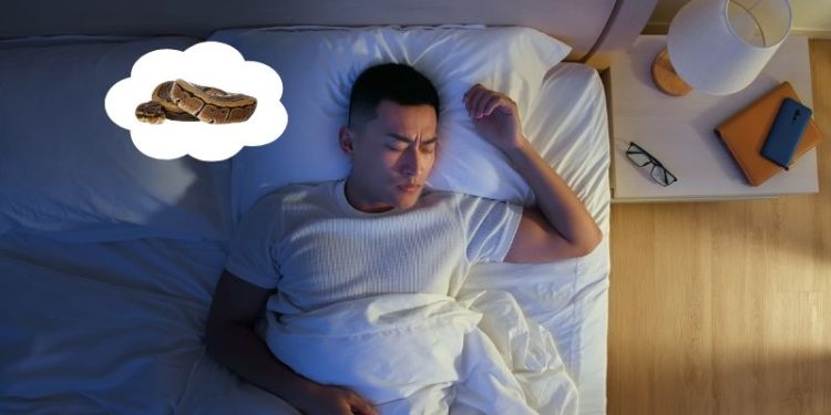 Giải mã chi tiết nằm mơ thấy rắn là điềm báo gì?