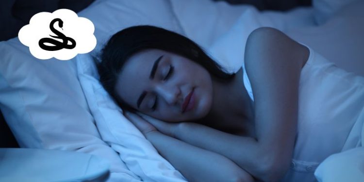 Nằm mơ thấy rắn đen: Bí ẩn tâm linh và dự báo tương lai