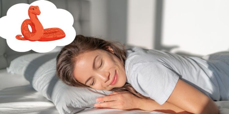 Ý nghĩa nằm mơ thấy rắn đỏ: Điềm báo tốt hay xấu?