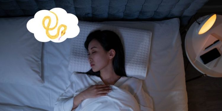 Bí ẩn nằm mơ thấy rắn vàng: Điềm lành hay dữ?