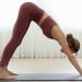 Tư thế chó úp mặt trong Yoga: Cách thực hiện đúng kỹ thuật