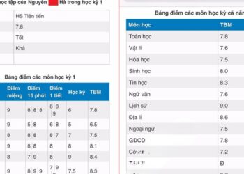 VnEdu – Đồng hành cùng phụ huynh và học sinh trên hành trình học tập