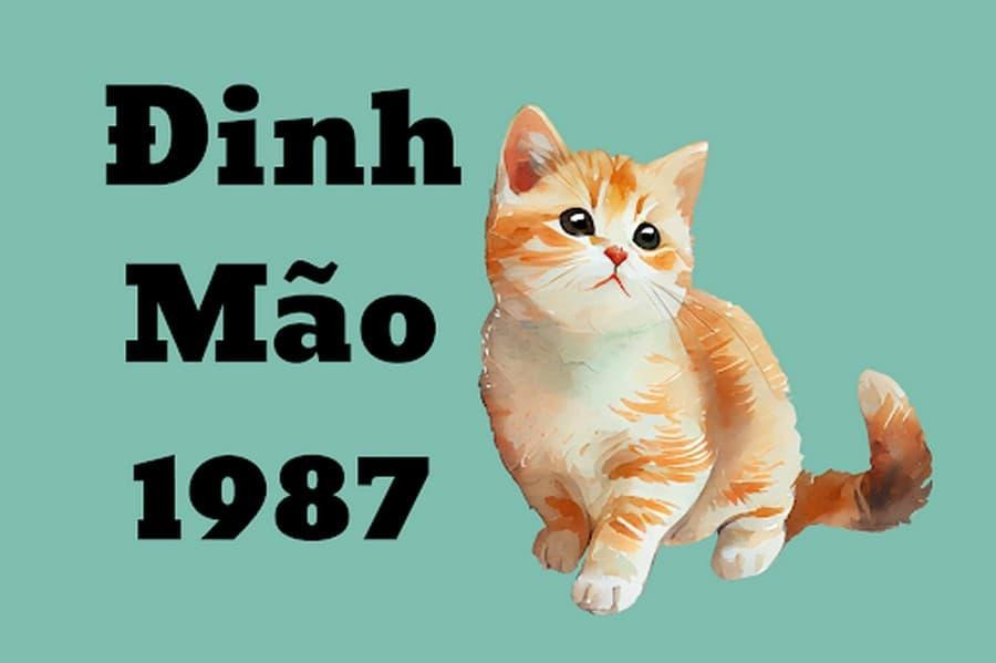 Năm 2026, tuổi Đinh Mão 1987 nam mạng chịu ảnh hưởng từ thế Thủy khắc Hỏa