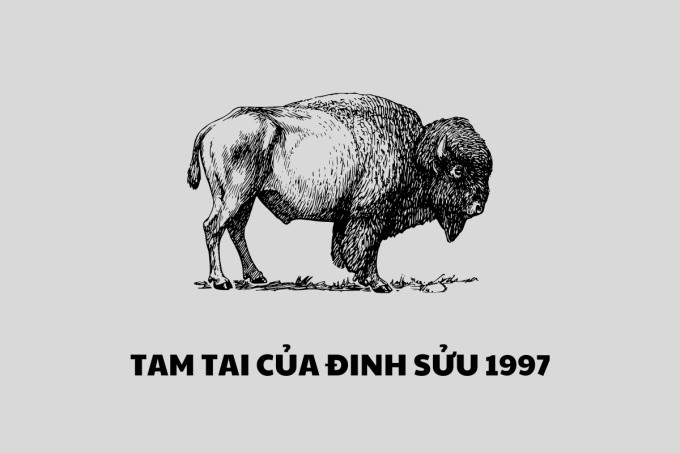 Bảng tra cứu các năm Tam Tai cho người tuổi Đinh Sửu 1997 theo chu kỳ 12 năm.