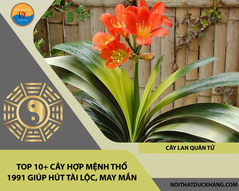 Cây Lan Quân Tử với hoa cam đỏ là màu tương sinh mệnh Thổ