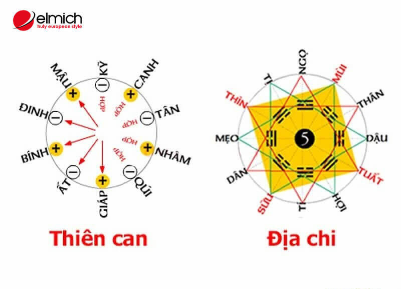 Sự hòa hợp giữa các tuổi phụ thuộc vào Thiên can và Địa chi