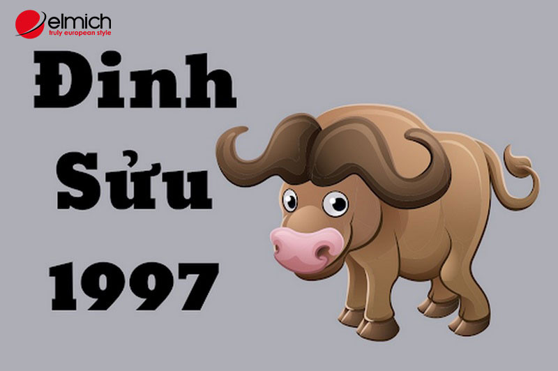 HÃ¬nh 5: Ná»¯ 2003 nÃªn láº¥y chá»“ng tuá»•i Äinh Sá»­u