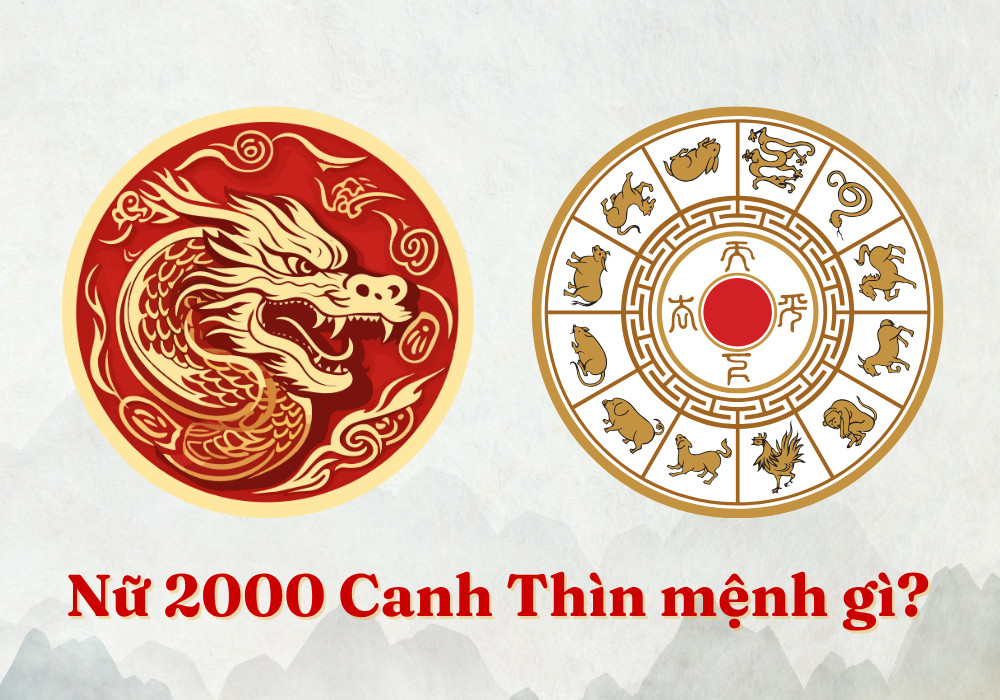 Nữ sinh năm 2000 mệnh Kim cụ thể là Bạch Lạp Kim
