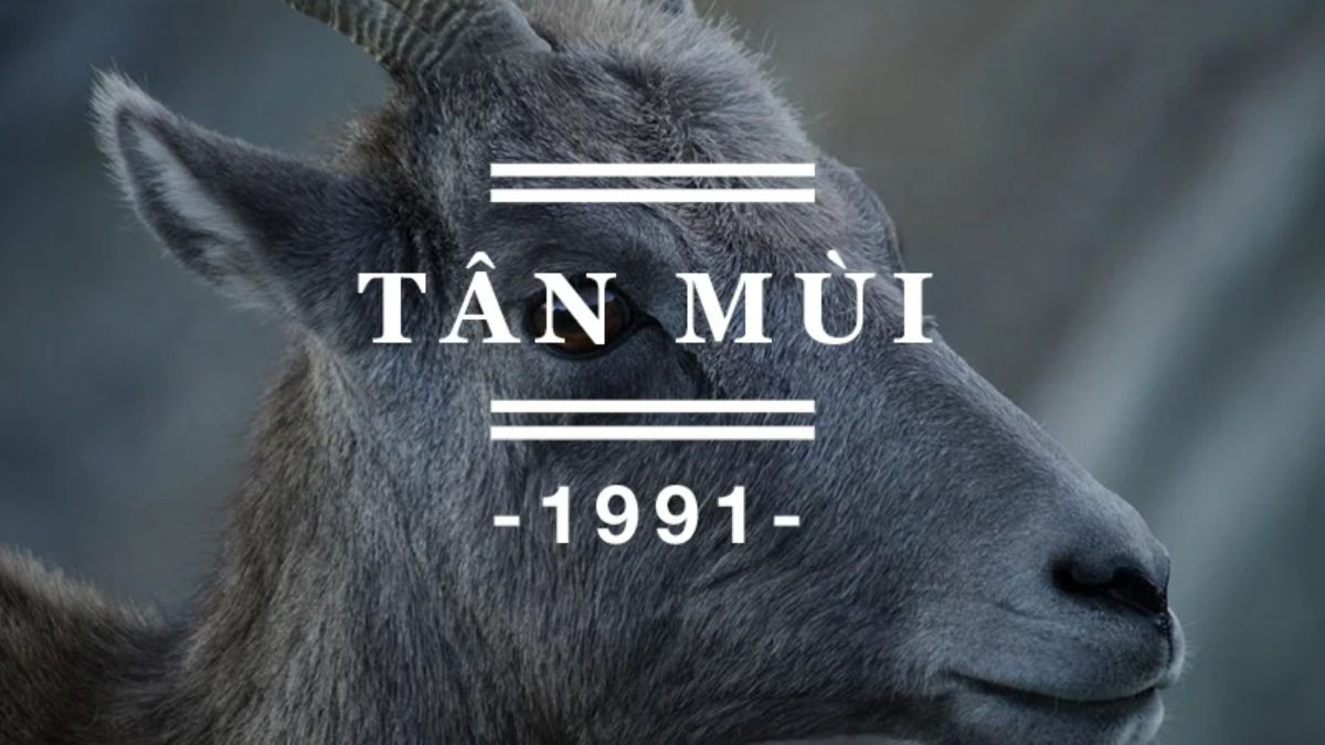 sinh năm 1991 hợp cây gì mang lại may mắn