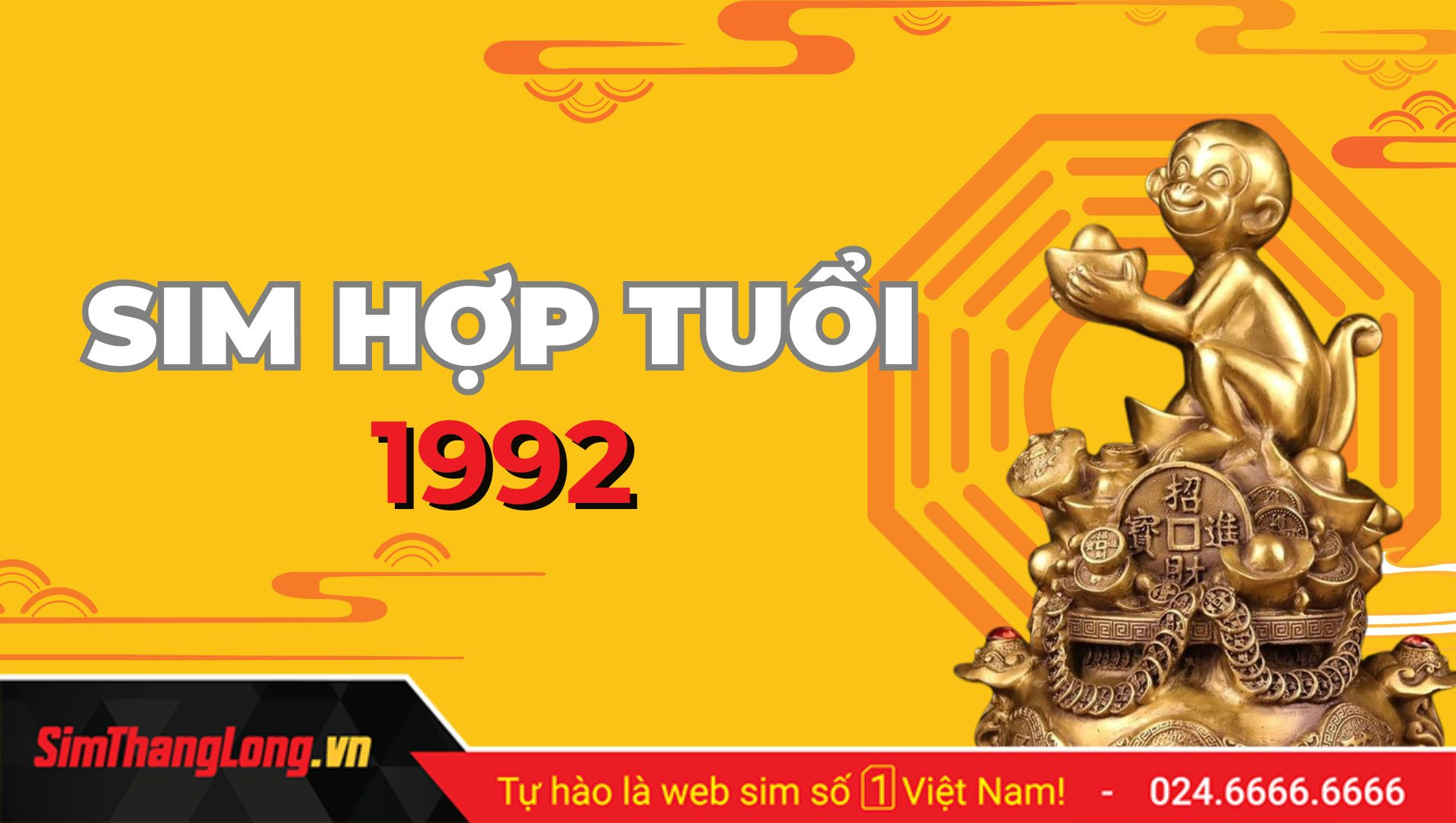 Người tuổi Nhâm Thân 1992 đang cân nhắc chọn lựa SIM phong thủy