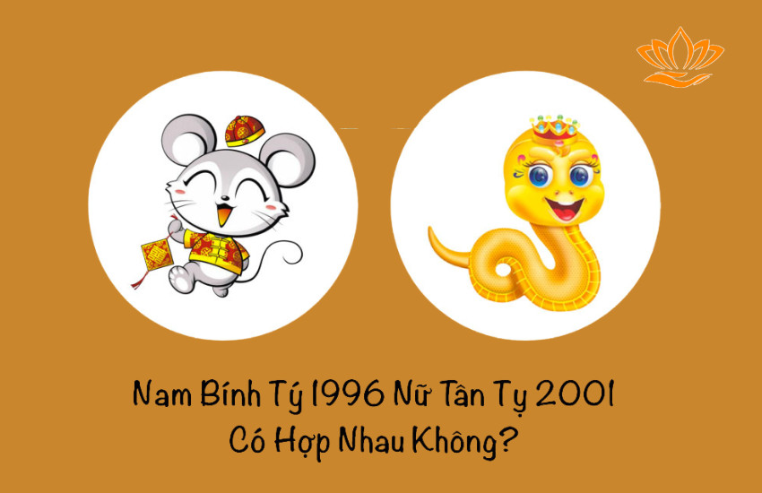 Phân tích tuổi chồng 1996 và vợ 2001 theo phong thủy