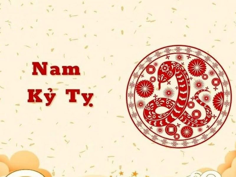 Tử Vi Tuổi Kỷ Tỵ Năm 2026 Nam Mạng: Khép Lại Chu Kỳ Cũ, Mở Ra Vận Khí Mới Của Đại Lâm Mộc