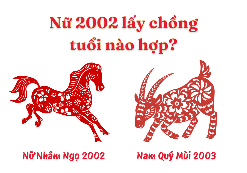 Nữ Nhâm Ngọ 2002 – Nam Quý Mùi 2003