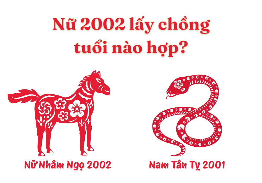 Nữ Nhâm Ngọ 2002 – Nam Tân Tỵ 2001