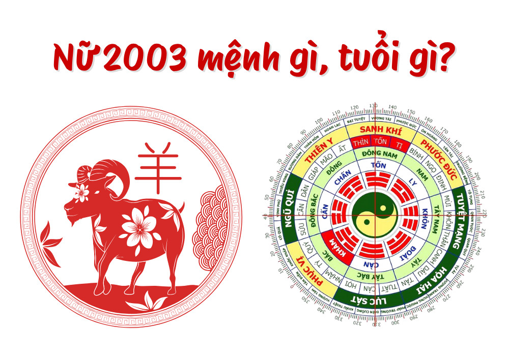 Nữ 2003 mệnh gì