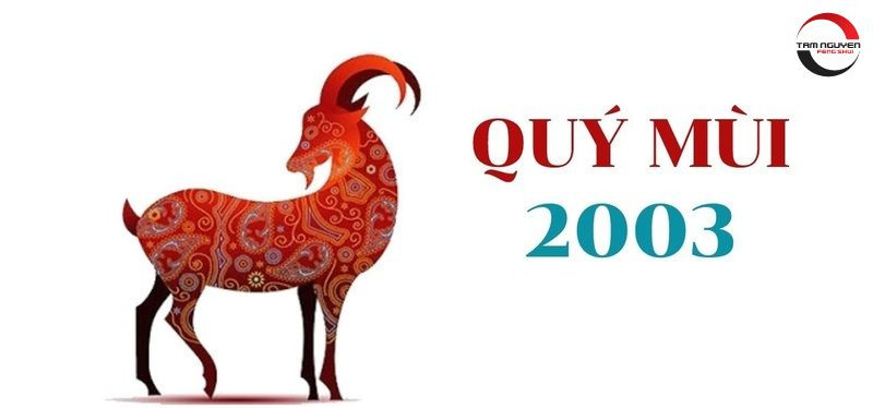 Cô gái trẻ với nụ cười tươi tắn thể hiện sự hiền lành và năng động, tượng trưng cho tính cách nữ Quý Mùi 2003