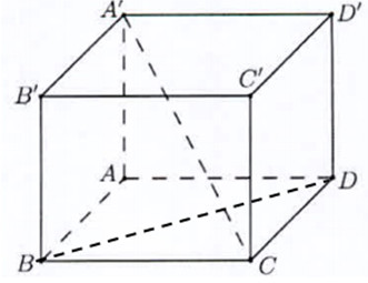 Hình hộp chữ nhật ABCD.A'B'C'D' với đáy ABCD là hình vuông