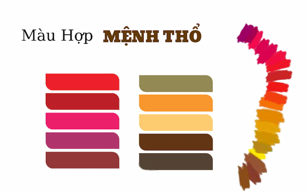 Bảng màu hợp với những người sinh năm 1998