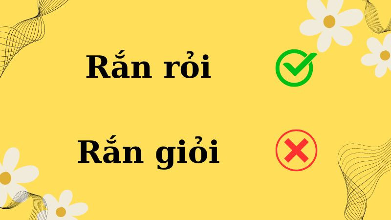 Hình ảnh minh họa hai từ 'rắn giỏi' và 'rắn rỏi' với biểu tượng đúng sai