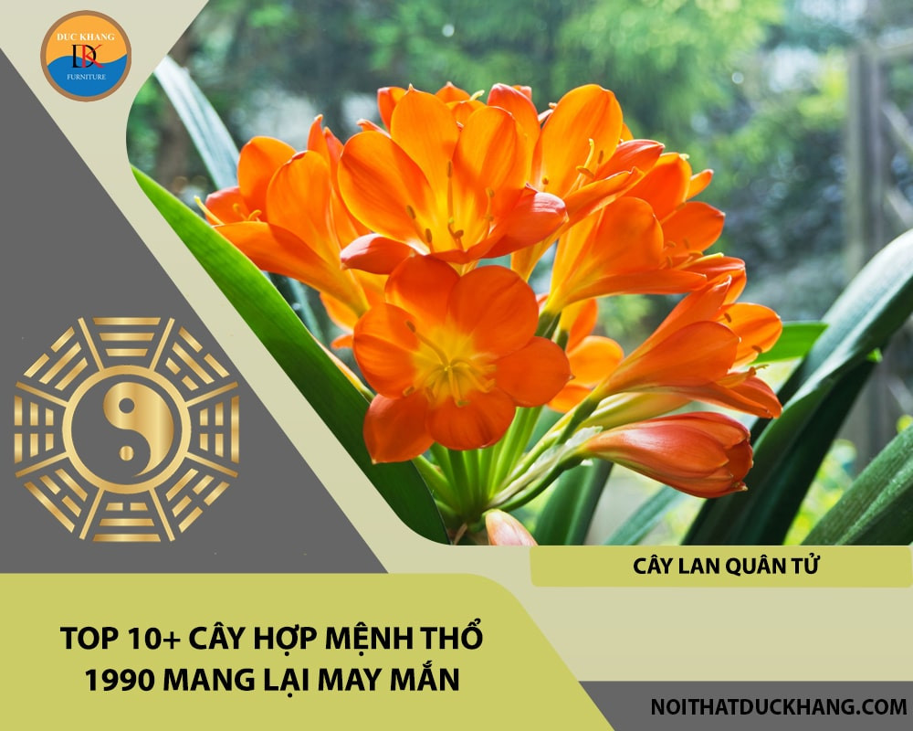Cây Lan Quân Tử với sắc cam đỏ rực rỡ, biểu tượng của sự mạnh mẽ và tài lộc