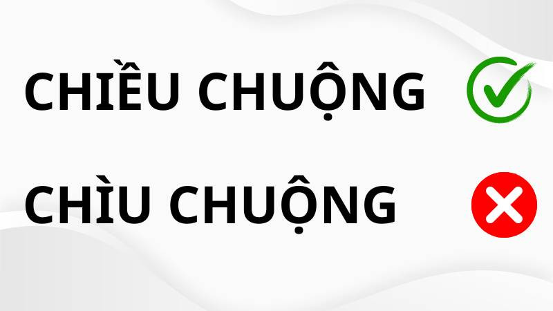 Phân biệt từ chìu chuộng và chiều chuộng trong tiếng Việt