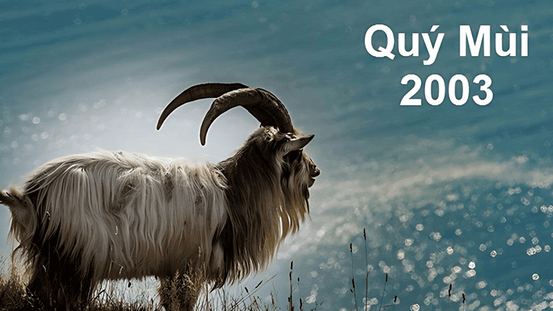 Năm 2026 mệnh Dương Liễu Mộc của nữ Quý Mùi được Thiên Hà Thủy nuôi dưỡng, mang đến nhiều cơ hội để phát triển