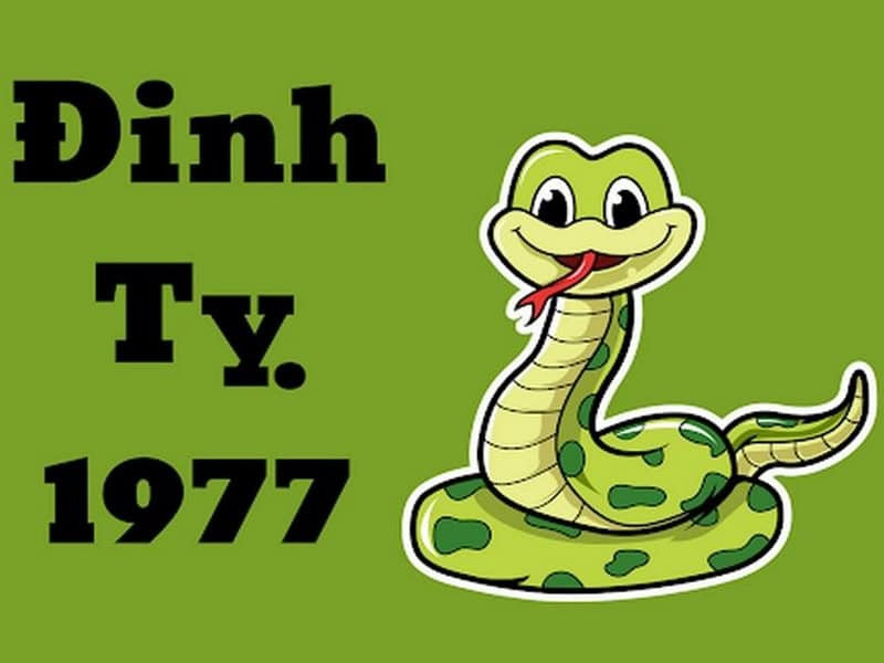 Nam mạng tuổi Đinh Tỵ 1977 với vận trình may mắn trong năm 2026