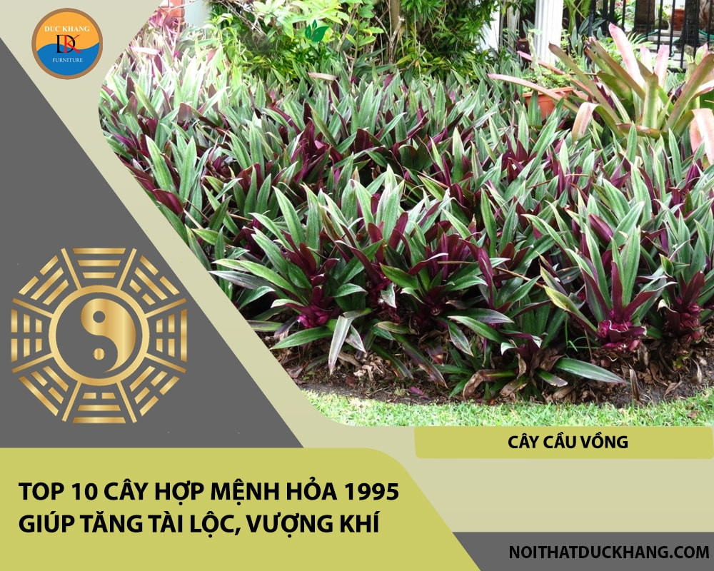 Cây Cầu Vồng đa sắc mang may mắn, tài lộc cho mệnh Hỏa 1995