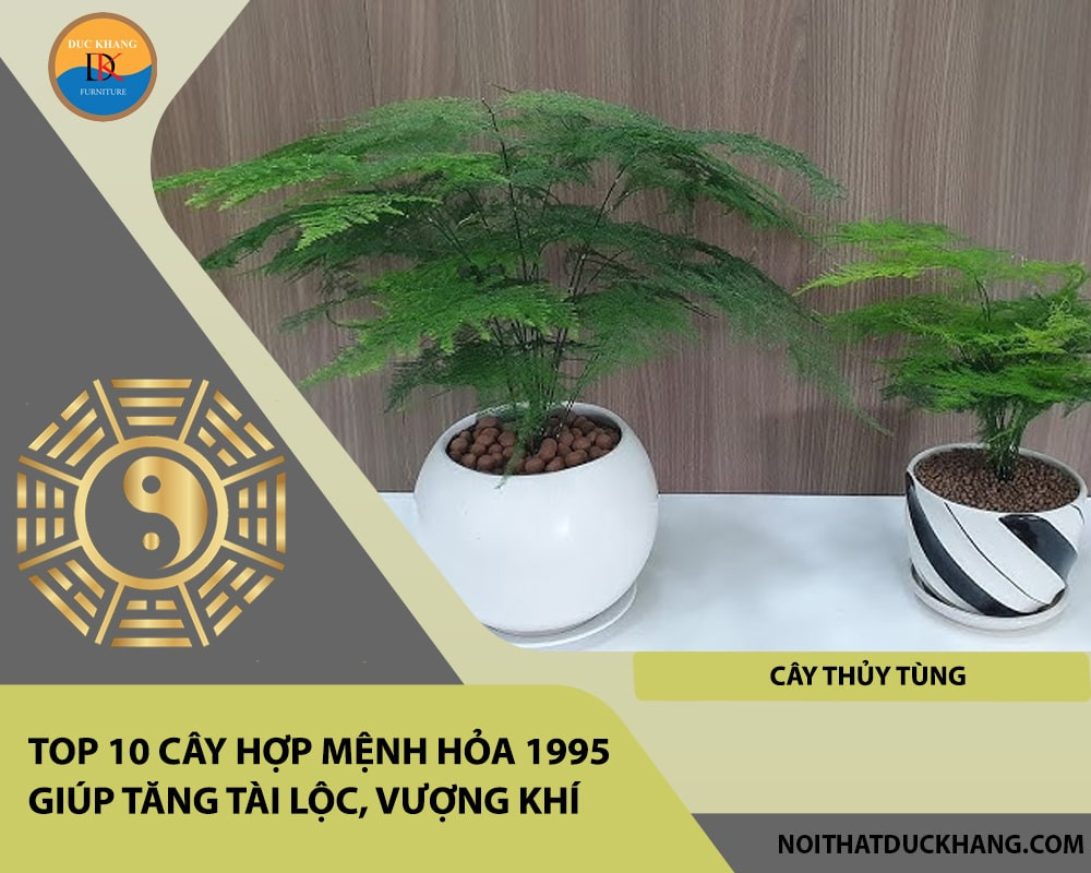 Cây Thủy Tùng thể hiện sự kiên cường và mang lại may mắn cho mệnh Hỏa 1995