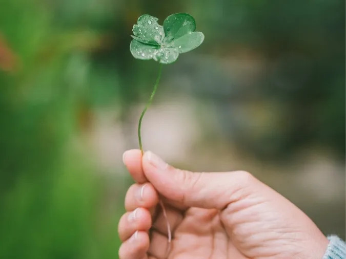 Người đàn ông đứng trên đỉnh núi nhìn về phía mặt trời mọc, tượng trưng cho cơ hội và thành công