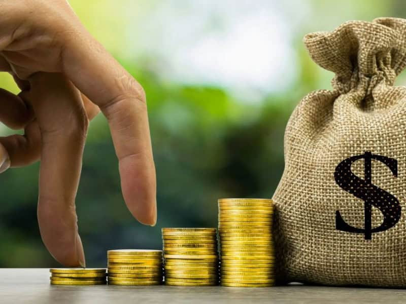 Thu nhập chính của nữ Kỷ Mão sẽ có sự biến động nhẹ trong năm Bính Ngọ