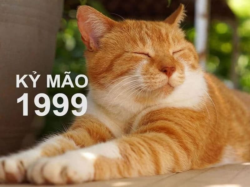 Nữ mạng tuổi Kỷ Mão 1999 sẽ đối mặt với nhiều biến động trong năm Bính Ngọ 2026