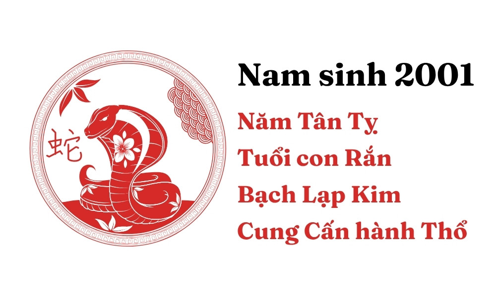 Biết 2001 mệnh gì cung gì để luận giải năm 2001 lấy vợ tuổi nào hợp