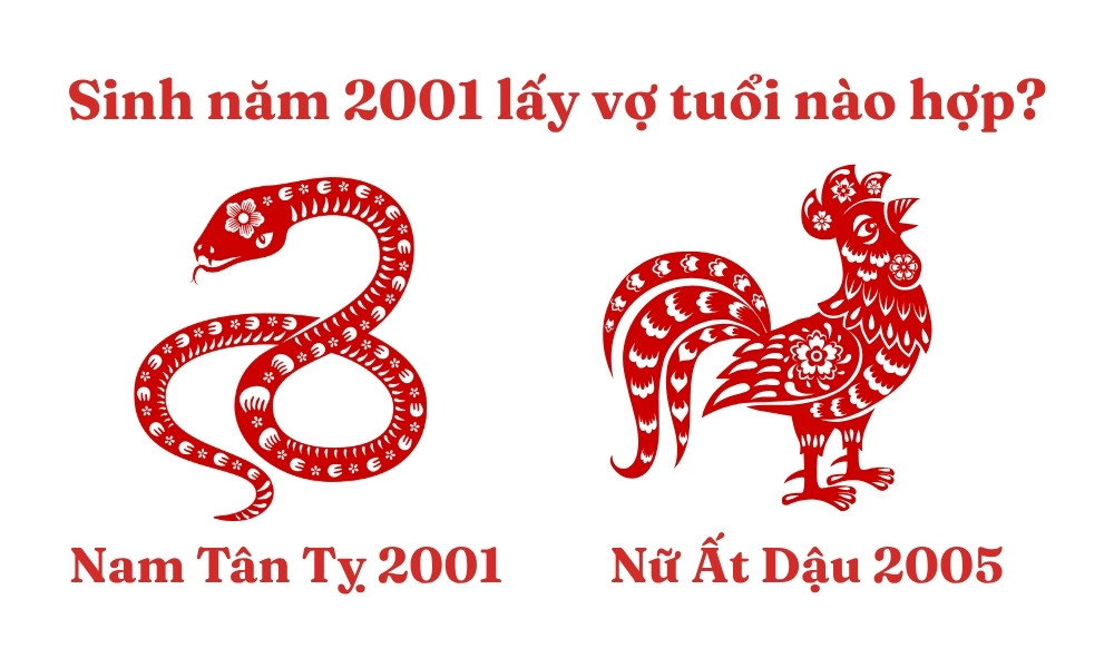 Nam Tân Tỵ 2001 lấy vợ tuổi Ất Dậu 2005