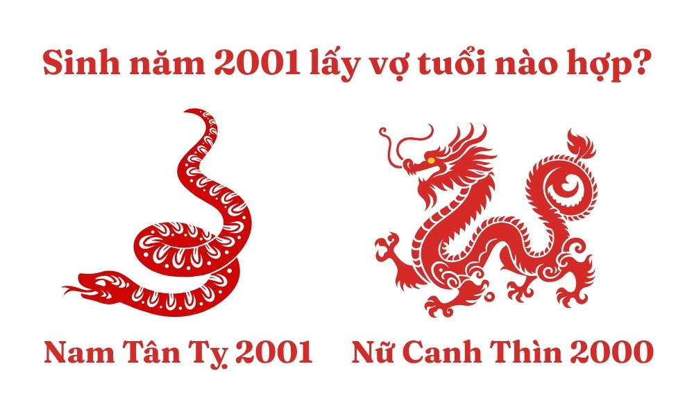 Nam Tân Tỵ 2001 lấy vợ tuổi Canh Thìn 2000