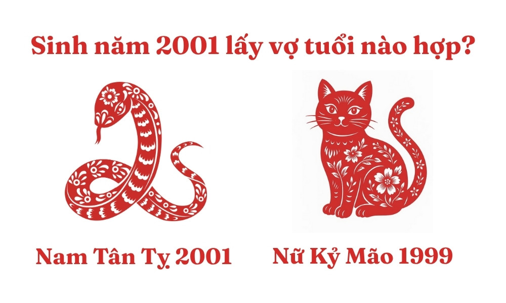 Nam Tân Tỵ 2001 lấy vợ tuổi Kỷ Mão 1999