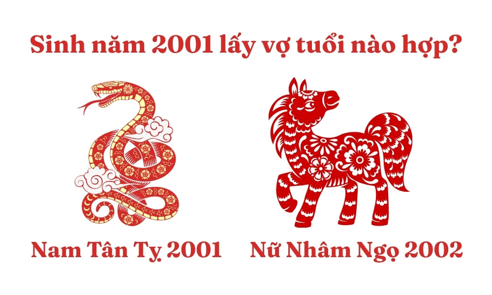 Nam Tân Tỵ 2001 lấy vợ tuổi Nhâm Ngọ 2002