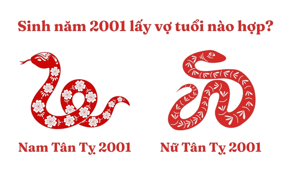 Nam Tân Tỵ 2001 lấy vợ tuổi Tân Tỵ 2001