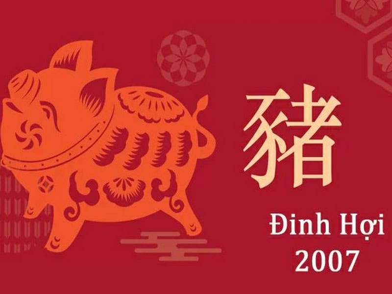 Tử Vi Tuổi Đinh Hợi Năm 2026 Nam Mạng: Tổng Quan Vận Hạn, Cơ Hội và Cách Hóa Giải 9 tong quan van trinh nam nay co nhieu chuyen bien theo huong nao