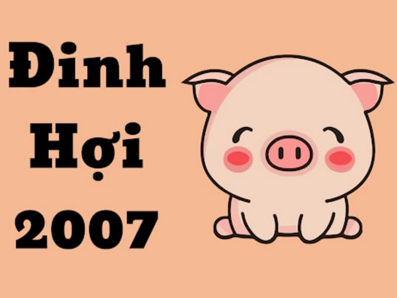 Tử Vi Tuổi Đinh Hợi Năm 2026 Nam Mạng: Tổng Quan Vận Hạn, Cơ Hội và Cách Hóa Giải 8 tu vi tuoi dinh hoi nam 2026 nam mang co gap bien dong lon khong