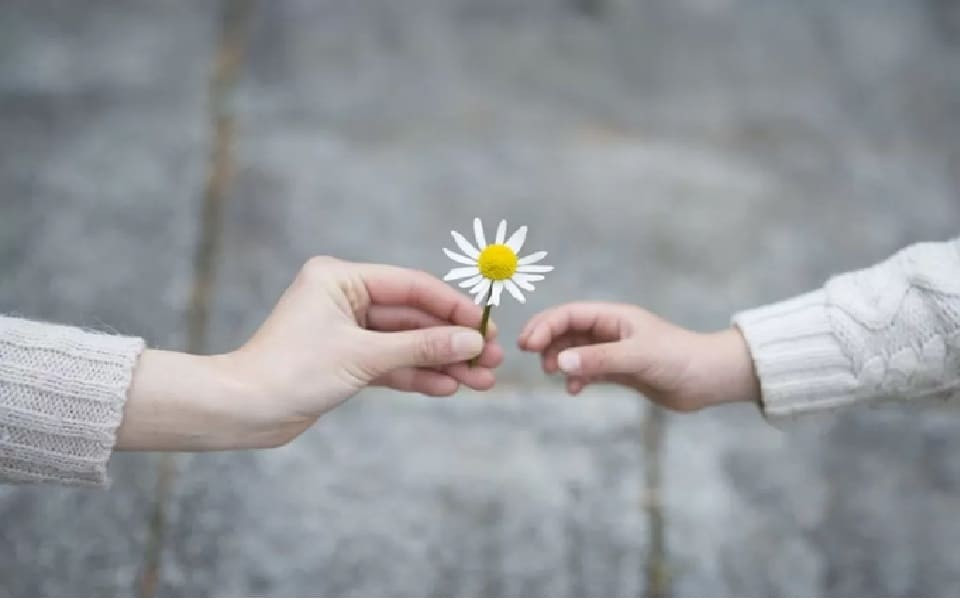 Lòng biết ơn là sự trân trọng và ghi nhớ những điều tốt đẹp mà người khác đã dành cho ta