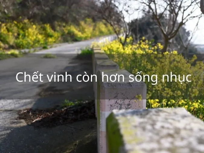 Người phụ nữ đang suy tư bên cạnh những hình ảnh tượng trưng cho sự vinh quang và tủi nhục