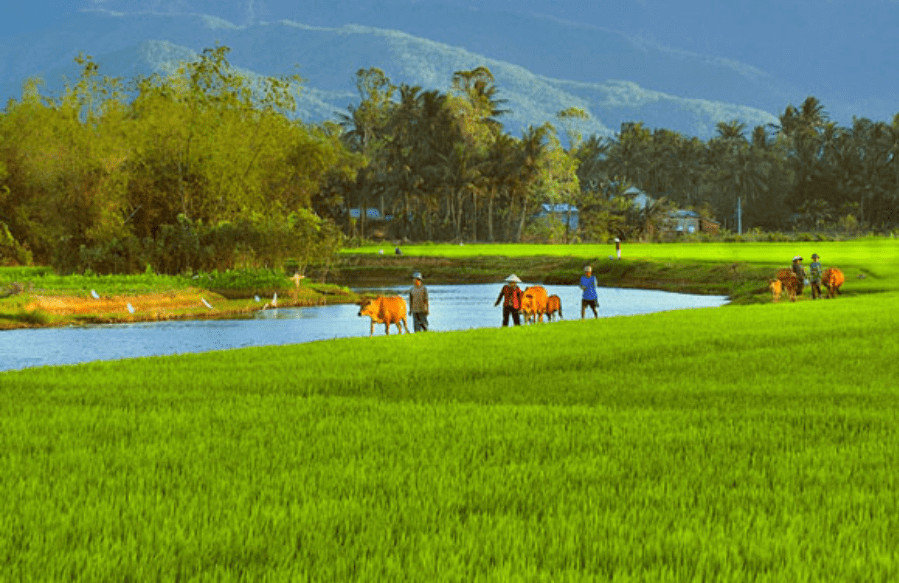Dàn ý Tả cảnh đẹp quê hương em lớp 5