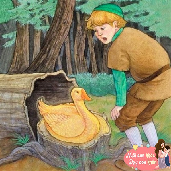 Chàng Ngốc hiền lành tốt bụng nhận được sự giúp đỡ của tiên rừng