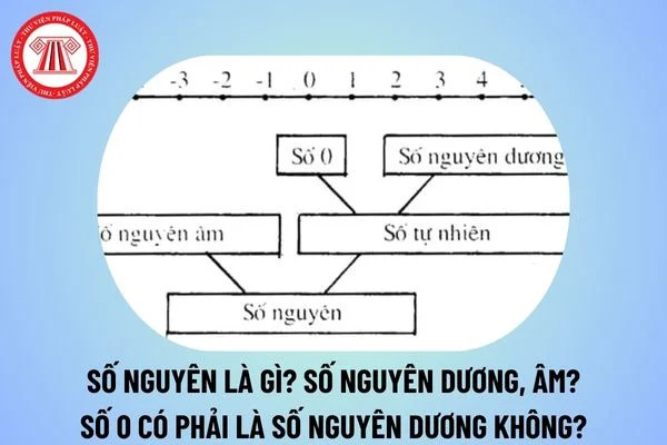 Số nguyên là gì? Số nguyên dương là gì? Số 0 có phải là số nguyên dương không?